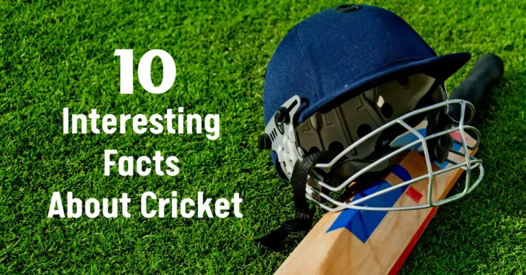 Top 10 Interesting Facts About Cricket