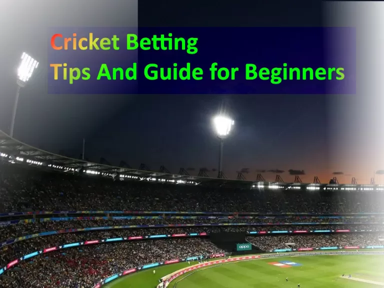 Cricket Betting: How to Choose Best Bookmaker?